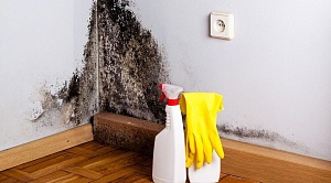 Бура десятиводная (Тетраборат натрия 10-водный)